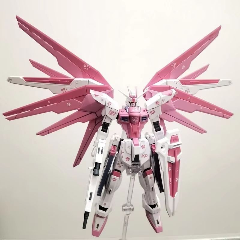 JMS HG 1/144 ZY-06 Freedom Ass - Bandai Gundam Rg recension och pris